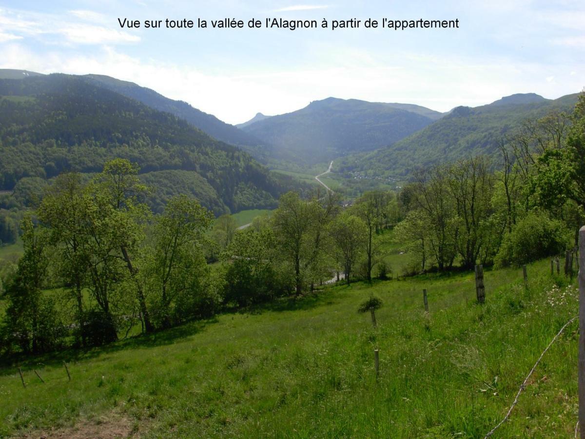 Vacances Au Pied Des Monts Du Cantal Laveissière Exterior foto