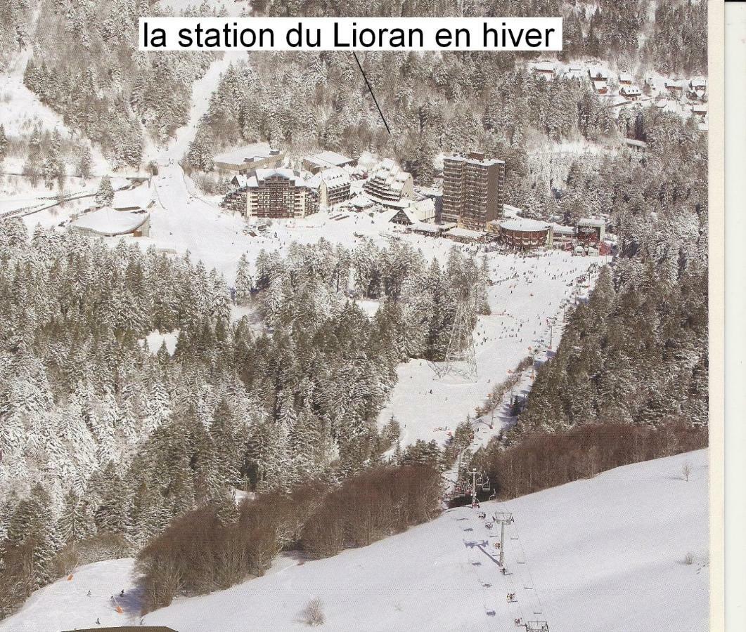 Vacances Au Pied Des Monts Du Cantal Laveissière Exterior foto